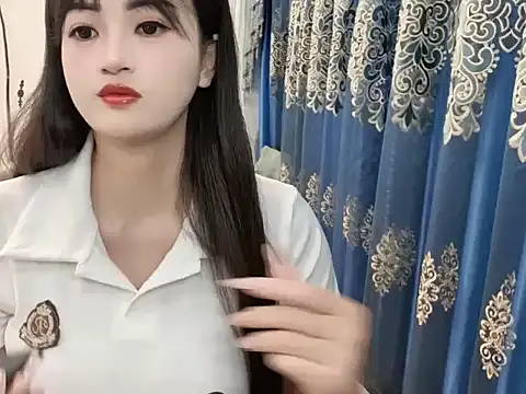 sjsibi webcam