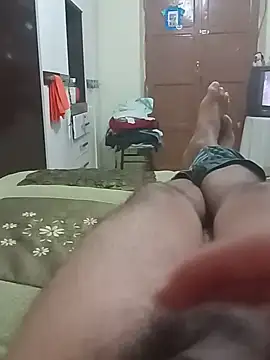 Perci8713 webcam