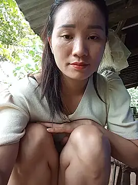 Td3di