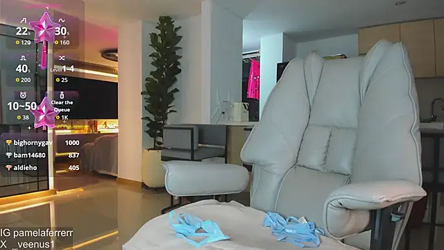 _veenus webcam
