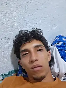 Noscay webcam