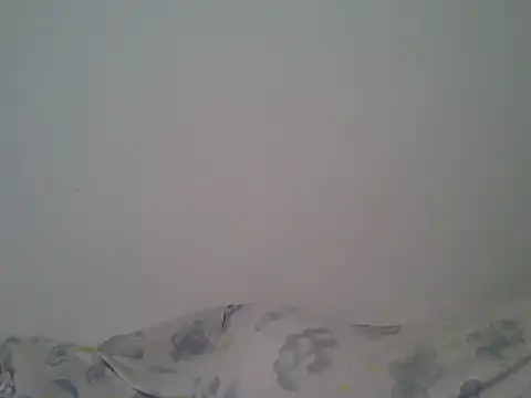 milk_sugar19 webcam