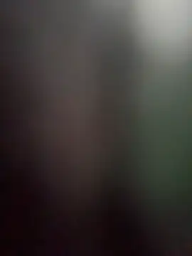 MerlinDave webcam