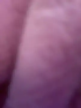 Sarabubbie webcam