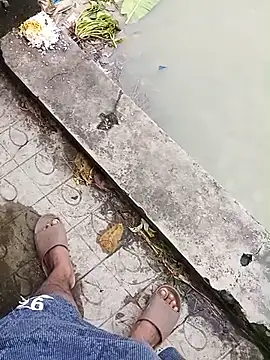 Vikash8240