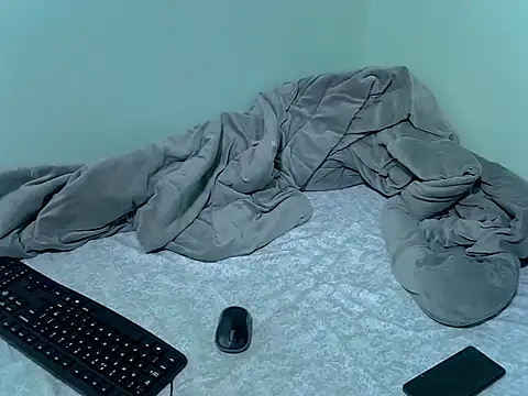 lainearia webcam