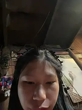 Spying_bird webcam