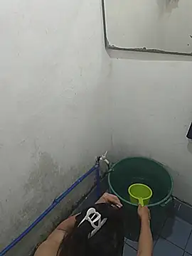 FallenLeafPh webcam