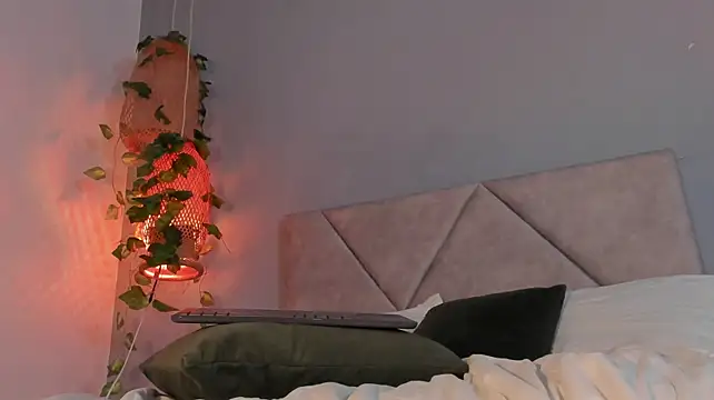 MeiJing webcam