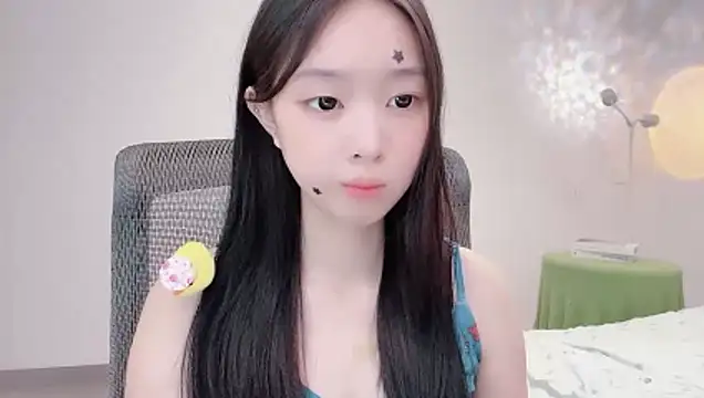Yoyo33355 webcam