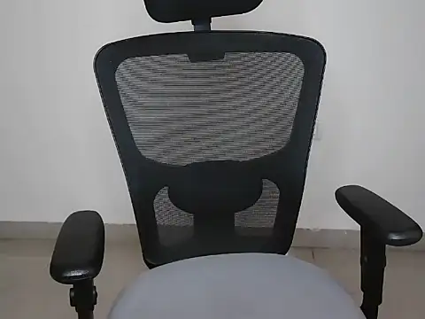 Shnya12 webcam