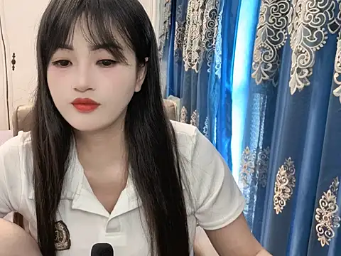 sjsibi webcam