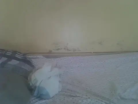 cute-shamza webcam