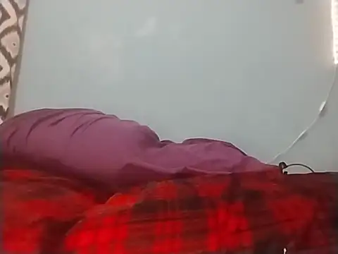 ReallyReallyReal webcam