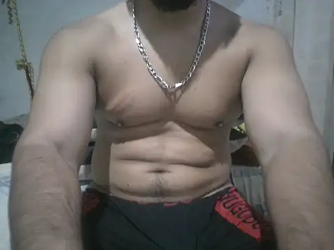 Alcee490 webcam