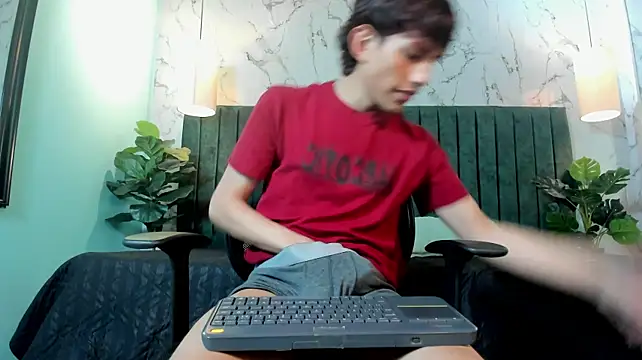 Pierre_Leroy_ webcam