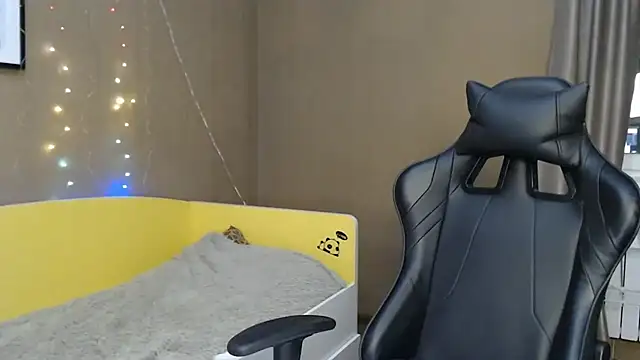 traxexe webcam