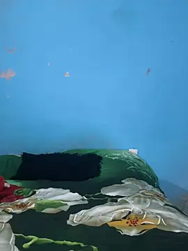 Nonnyiris webcam
