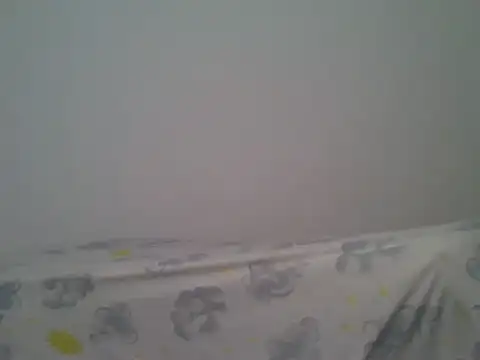 milk_sugar19 webcam