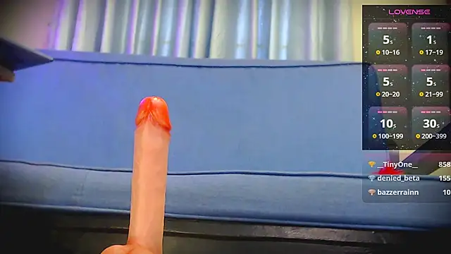 Live_View webcam