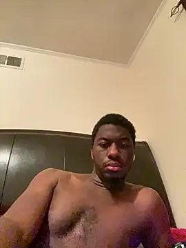 ThickDic28 webcam