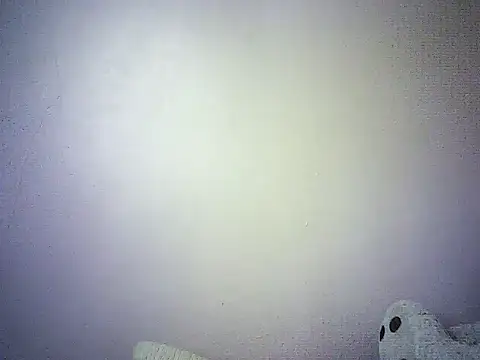 DelteAfriq webcam