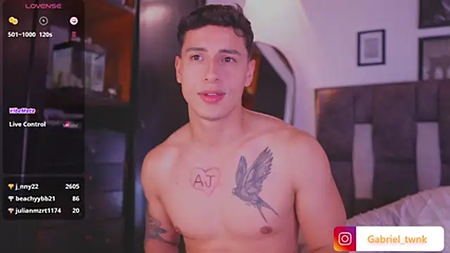 I_Gabriel webcam