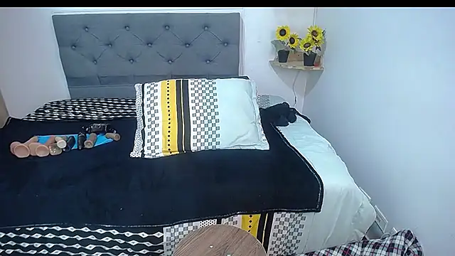 sasi_luna webcam