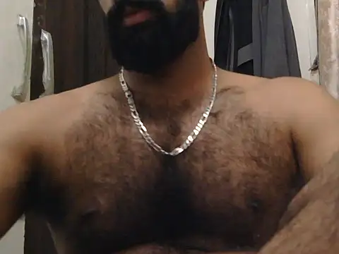 indianhairybull webcam