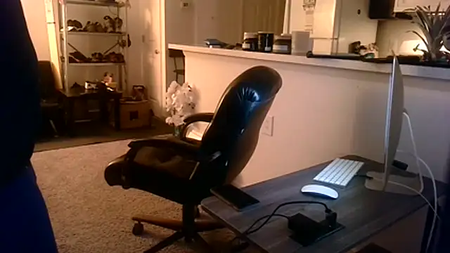 Q1357q webcam