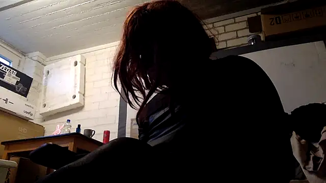 Bleulava webcam