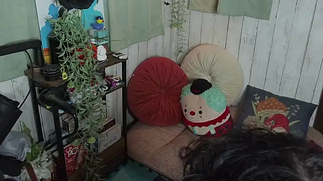 BunniButton webcam