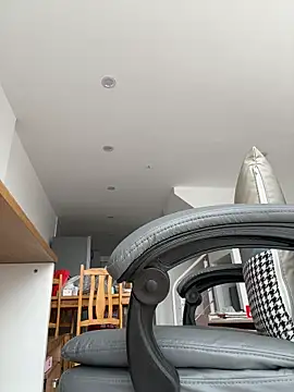 Elowen-520 webcam