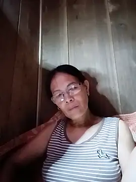 toyo_668 webcam