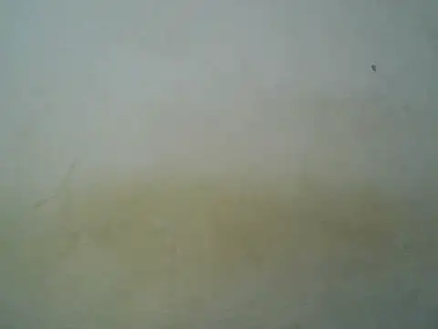 curvy_girl6 webcam