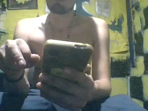 Wero4200 webcam