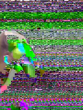surffuerte webcam