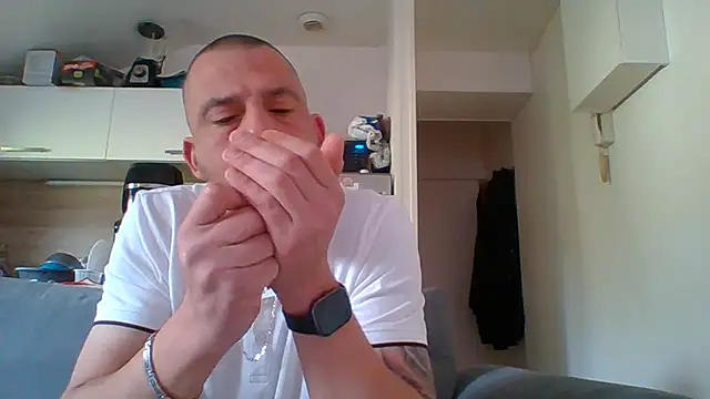 dartagnant webcam