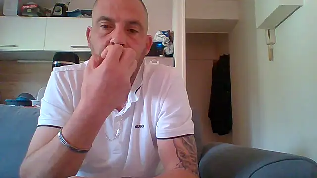 dartagnant webcam