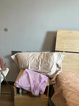 xianyu-ss webcam