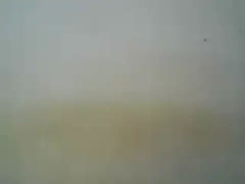 curvy_girl6 live cam preview