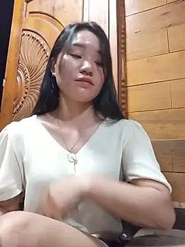 Td3di webcam