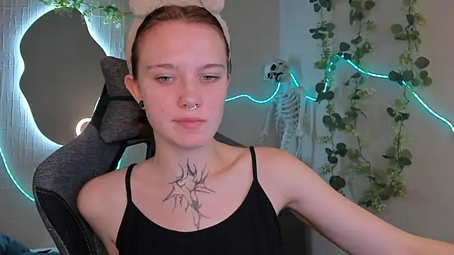 Elastikisss webcam