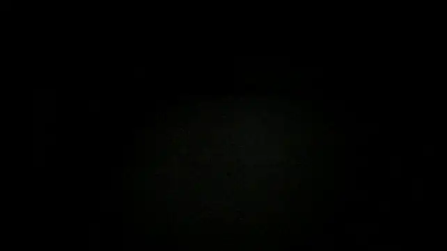 LorenaAndJackson webcam