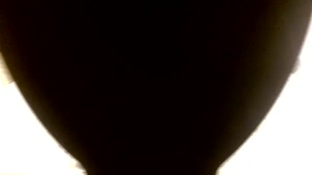 July_rosie webcam