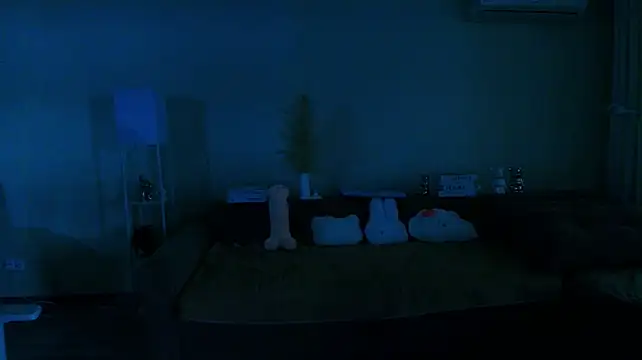 Petitekaya webcam