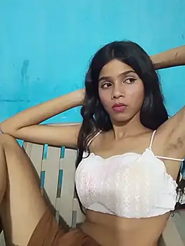 HIE-JANVI webcam