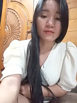 Td3di webcam