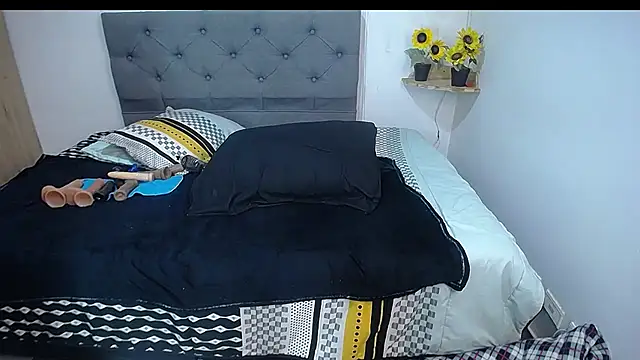 sasi_luna webcam