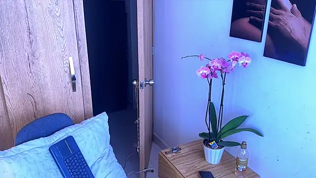 Stiven_collins webcam